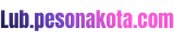 lub.pesonakota.com